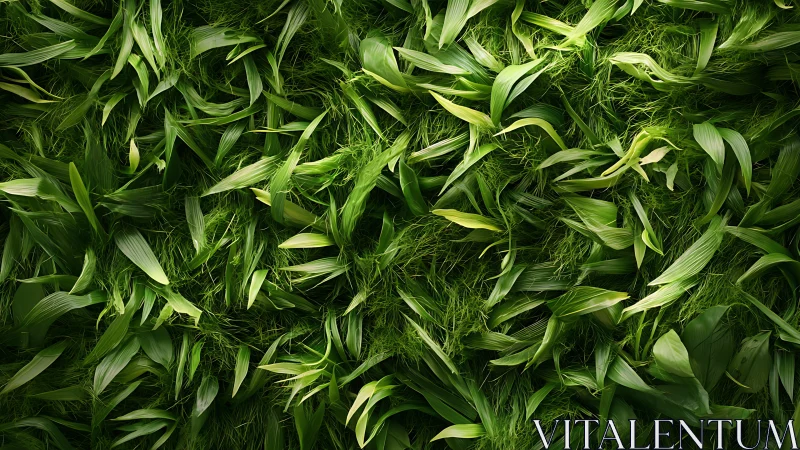 Lush layered green leaves forming dense organic pattern.