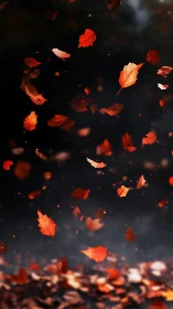 Turbulent depth-of-field study of free-falling autumn foliage.