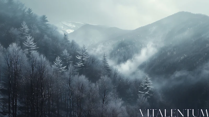 Whispering frost forest cradled in silver-blue mountain mist.