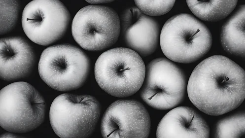 Monochrome overhead still life of tightly packed apples.
