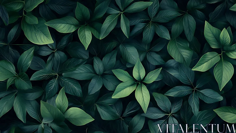 Overhead botanical foliage pattern with layered green leaves