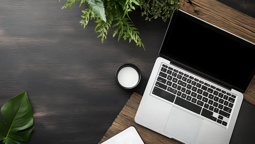 Minimal laptop workspace with coffee and green plants.