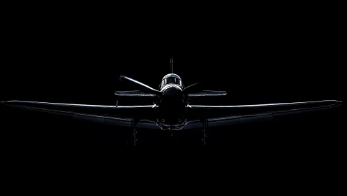 Midnight warbird emerges in razor-edged silhouette glory.