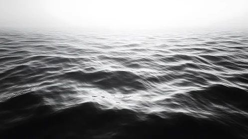Monochrome ocean surface with high-key horizon field study.