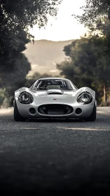 Silver classic sports car parked on empty tree lined road.