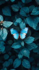 Blue butterfly rests in tranquil teal forest foliage