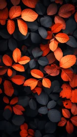 Orange autumn leaves contrast sharply with deep blue foliage
