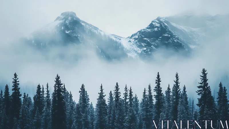 Snowbound mountain peaks rise through dense winter fog.