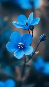Delicate blue flowers with dewdrops glistening on petals.