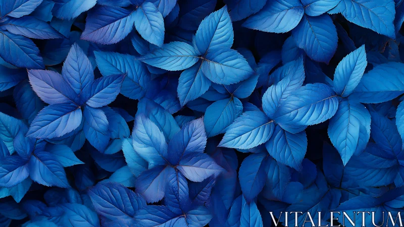 Monochrome blue foliage forms dense, radially layered pattern