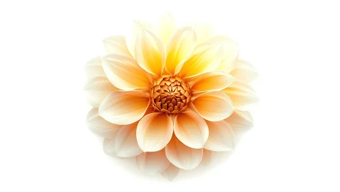 Golden Dahlia Flower with Soft Orange Gradient.