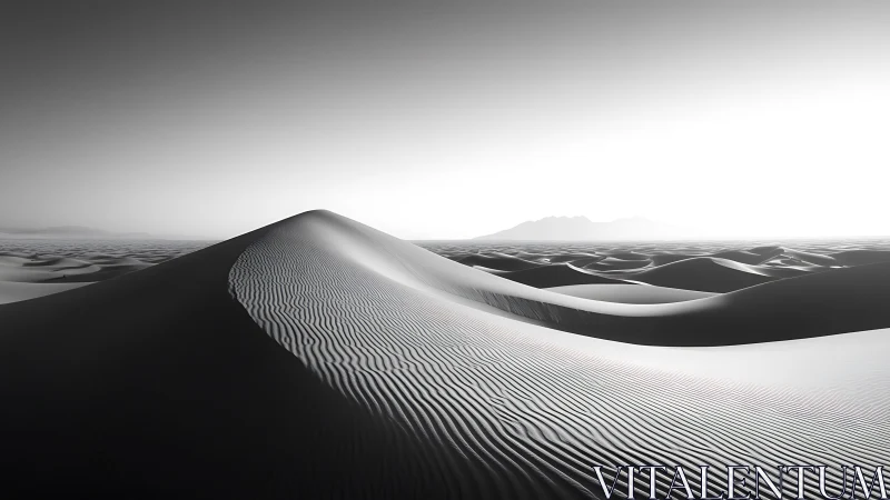 Monochrome desert dune curves fade into a bright silent horizon