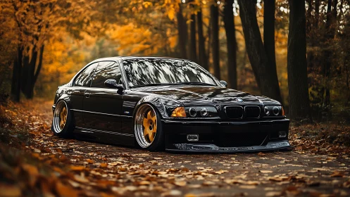 Black sedan is parked on a leaf-covered forest road
