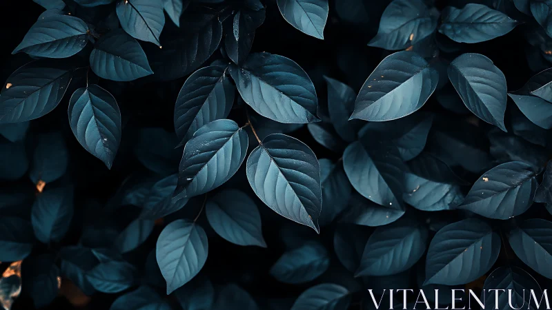 Moody teal foliage forms a calming, abstract natural pattern
