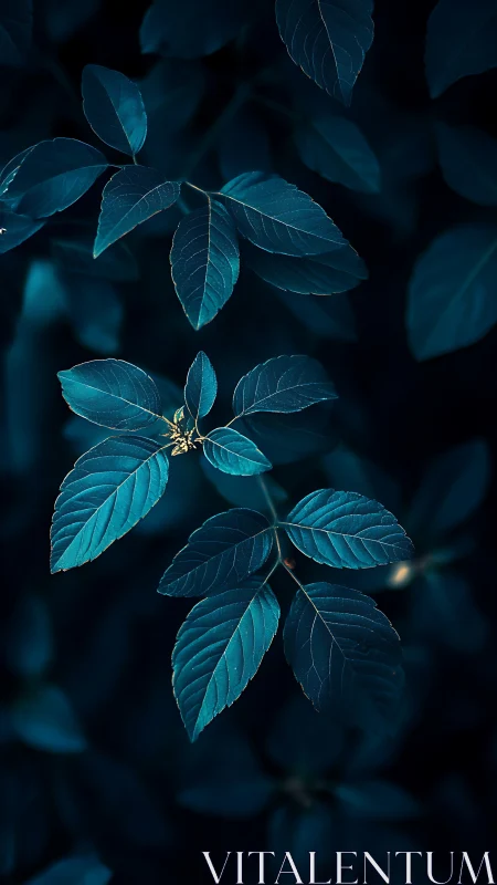 Blue toned leaves form sharp textured foliage against darkness