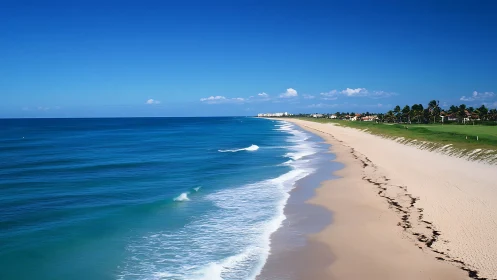Azure shoreline whispering waves along quiet palm coast.