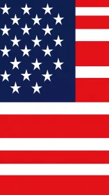 Stars tumble in bold stripes on a reimagined US flag.