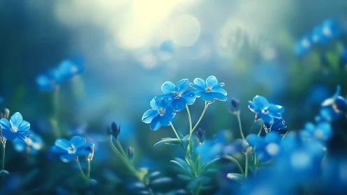 Delicate Blue Forget-Me-Nots Dancing in Soft Light.