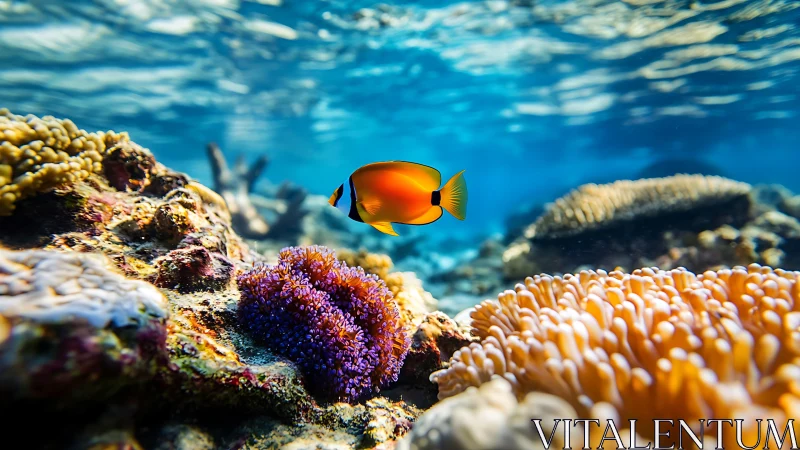 Tropical reef fish gliding above luminous coral garden.