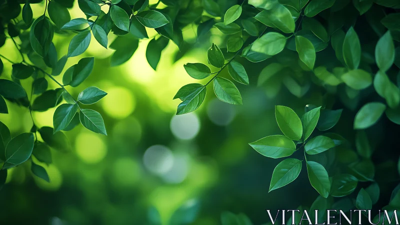 Leafy whispers drift across a softly glowing forest blur