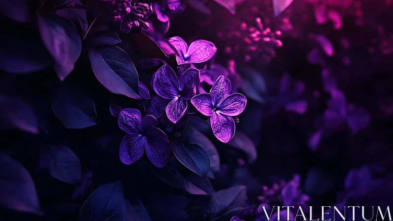 Purple Flowers Glowing in Darkness