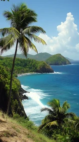 Tropical Coastal Bluff with Coconut Palms and Turquoise Seascape