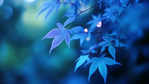Moonlit blue maple leaves glowing in a dreamy evening hush.