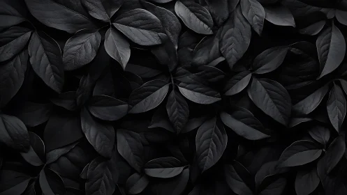Dense overlapping dark leaves forming uniform foliage pattern.