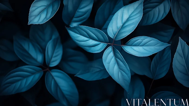 Teal foliage pattern in low key botanical macro study.