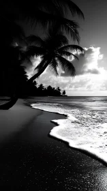 Monochrome palm trees along shoreline with incoming surf.