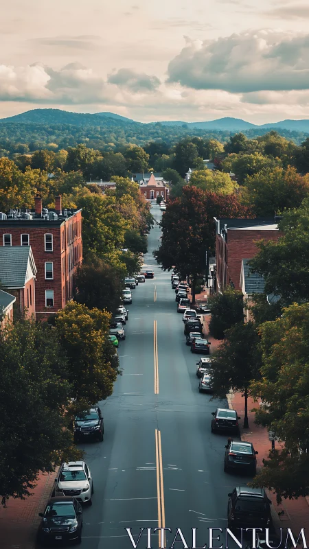 Tree lined small town avenue under soft evening clouds.
