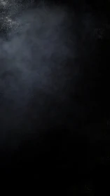 Dark textured background suggests subtle misty illumination