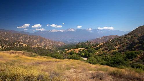 Sunlit chaparral hills with distant snow-capped mountain range.