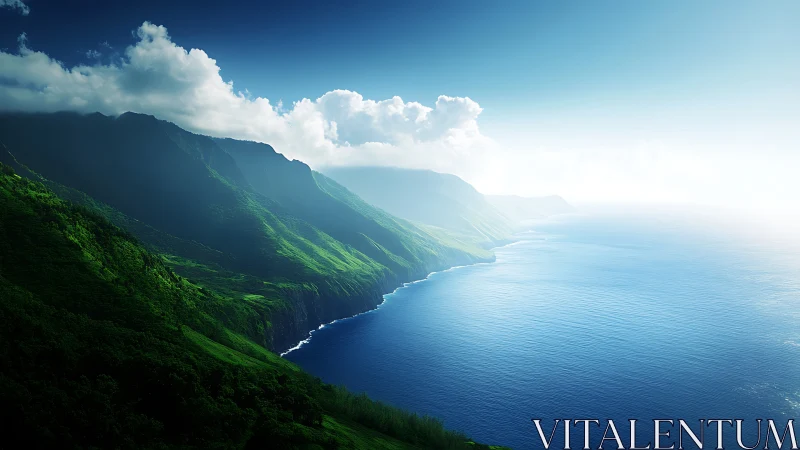 Emerald cliffs lean into a hazy horizon of luminous sea