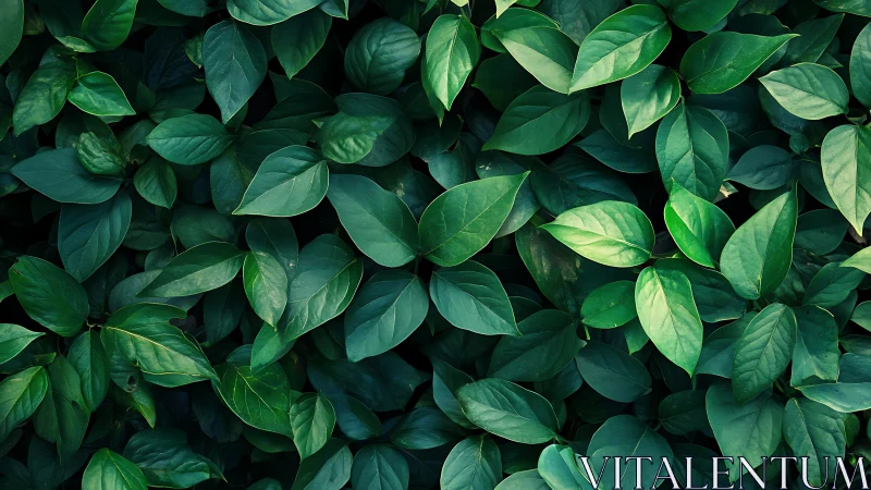 Dense green foliage background with overlapping leaves.