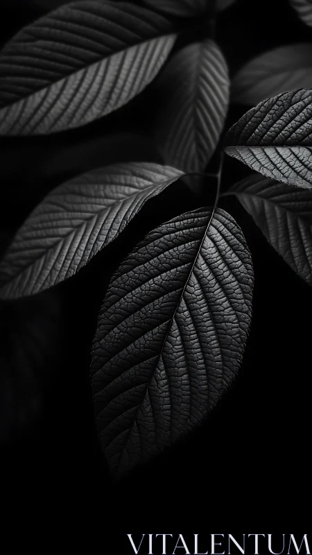 Gentle monochrome leaves glowing softly in the dark.