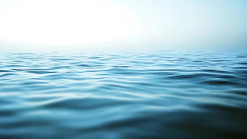 Calm blue ocean surface extending toward bright horizon.