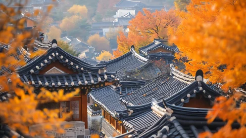 Golden autumn glows around traditional Korean hanok roofs
