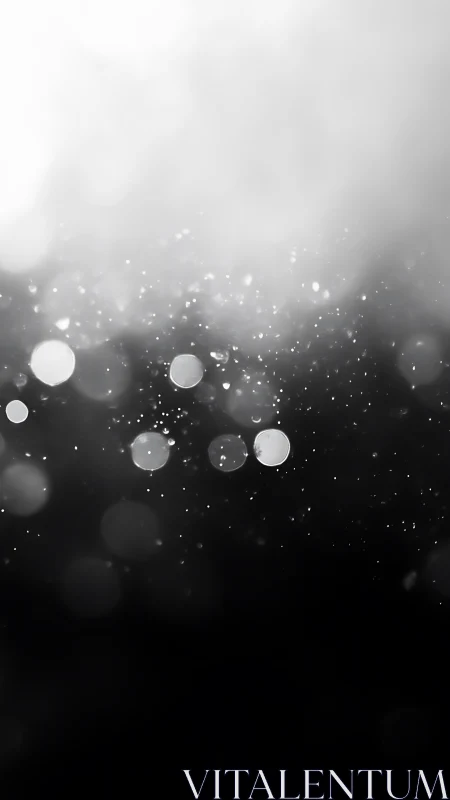 Starglow Drift in Monochrome Misty Silence.