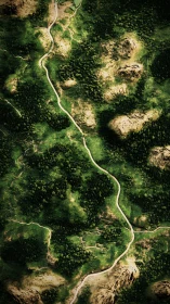Winding road cuts through dense forest with rocky outcrops.