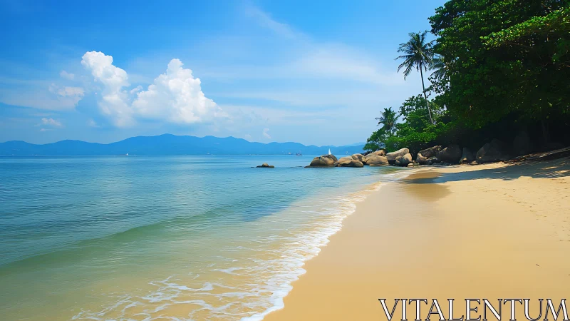 Coastal shoreline shows calm shallow surf, rock outcrop and tree canopy