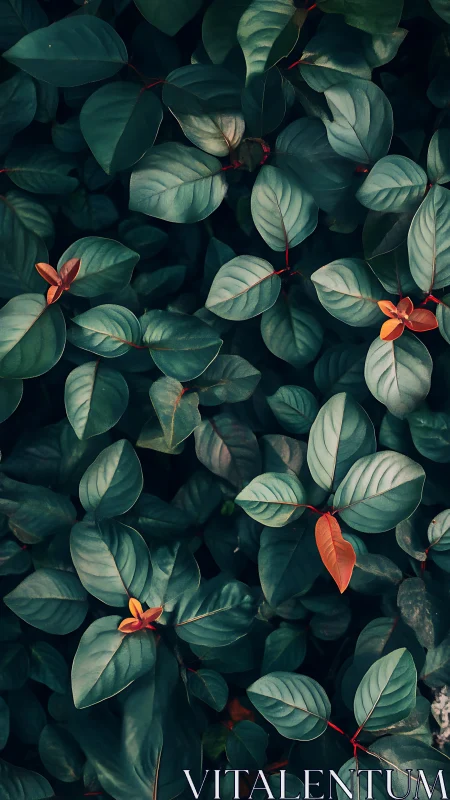 Moody macro foliage study with teal leaves and russet tips.