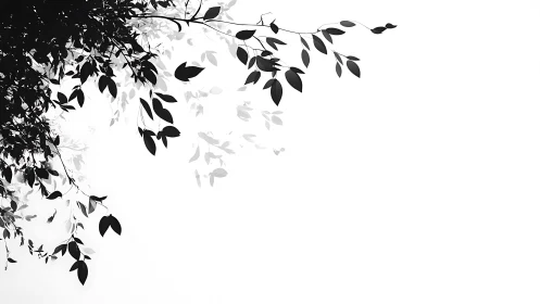 Minimalist black and white leafy branches in upper corner illustration.