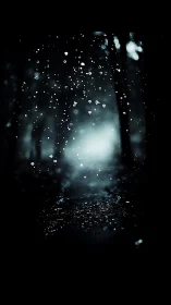 Backlit raindrops in shallow focus over dark forest path
