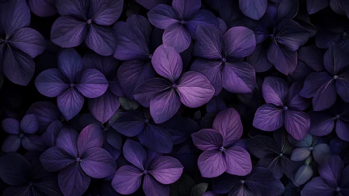 Purple Hydrangea Florets Layered Against Dark Botanical Ground
