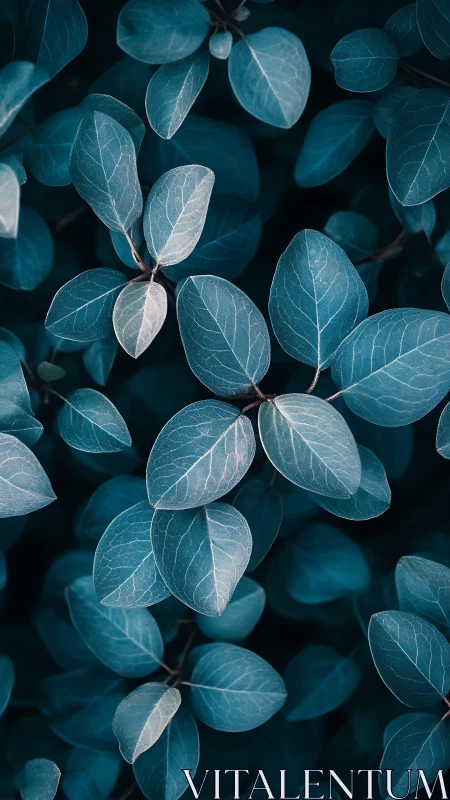 Teal foliage macro pattern with cool muted lighting.