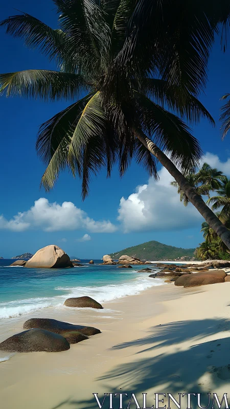 Tropical Seychelles Beach with Palm Trees, Turquoise Waters, Granite Boulders