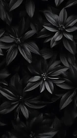 Midnight blossoms in soft monochrome bloom.