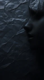 Monochrome sculptural profile in crumpled shadow relief.