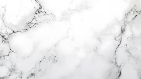 White marble surface with light gray veining texture pattern.